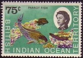 Steephead Parrotfish (Chlorurus strongylocephalus), 