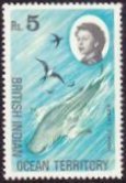 Whale Shark (Rhincodon typus)