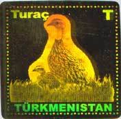 Black Francolin (Francolinus francolinus)