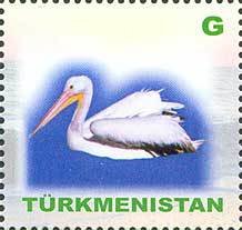 Great White Pelican (Pelecanus onocrotalus)