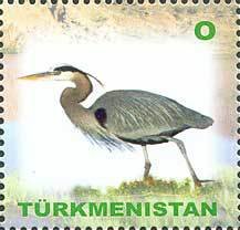 Grey Heron (Ardea cinerea)