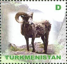 Urial (Ovis orientalis vignei)