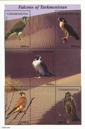 Falcons of Turkmenistan