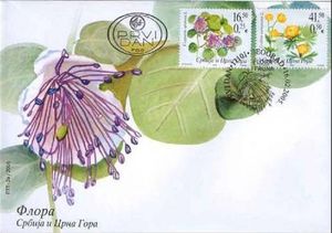 Protected Species FDC A