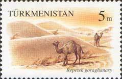 Dromedary (Camelus dromedarius) in Repetek Desert