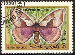 Moth (Dirphia multicolor)