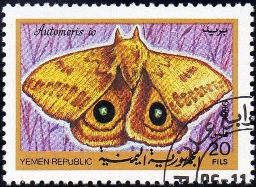 Io Moth (Automeris io)