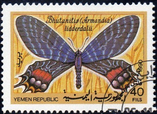 Bhutan Glory (Bhutanitis lidderdalei)