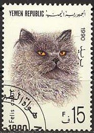 Persian Cat (Felis silvestris catus)