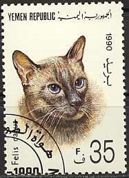 Domestic Cat (Felis silvestris catus)