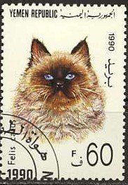Stamp, Domestic Cat (Felis silvestris catus), Yemen,  , Cats