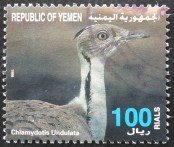 Houbara Bustard (Chlamydotis undulata)
