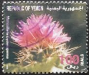 Mammilaria erythrosperma