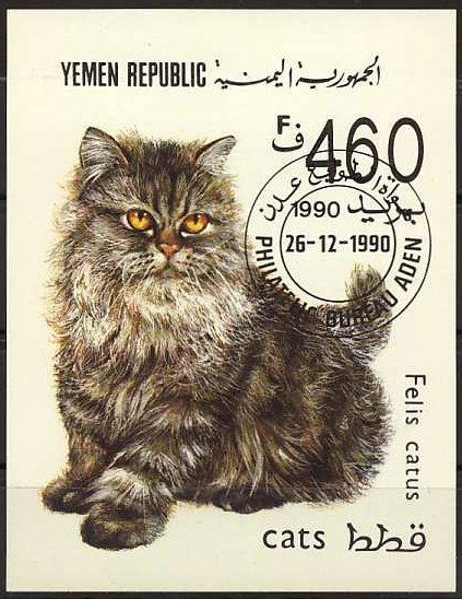 Persian Cat (Felis catus)