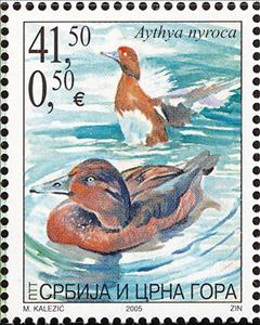 Stamp, Ferruginous Duck (Aythya nyroca), Serbia and Montenegro,  , Birds, Ducks, Animals (Fauna)