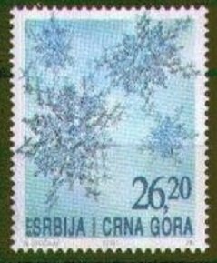 Snowflakes