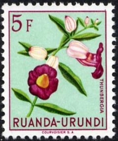 Thunbergias