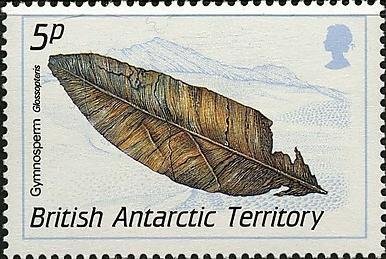 Stamp, Gymnosperm, British Antarctic Territory (BAT),  