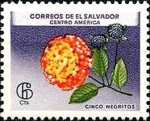 Cinco Negritos