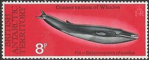 Stamp, Fin Whale (Balaenoptera physalus), British Antarctic Territory (BAT),  , Whales, Animals (Fauna)