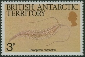 Stamp, (Tomopteris carpenteri), British Antarctic Territory (BAT),  