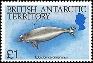 Stamp, Crabeater Seal (Lobodon carcinophagus), British Antarctic Territory (BAT),  