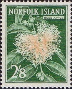 Stamp, Rose Apple, Norfolk Island,  , Flowers, Plants (Flora)