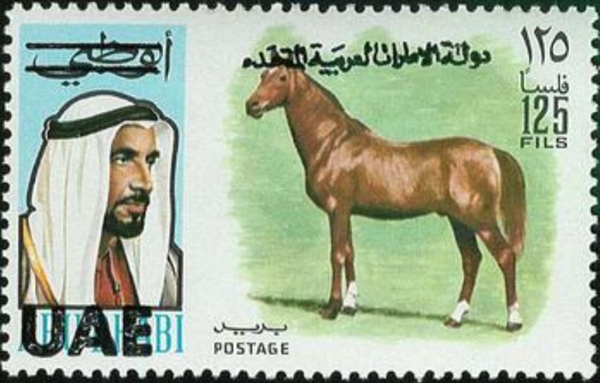 Horse (Equus ferus caballus)