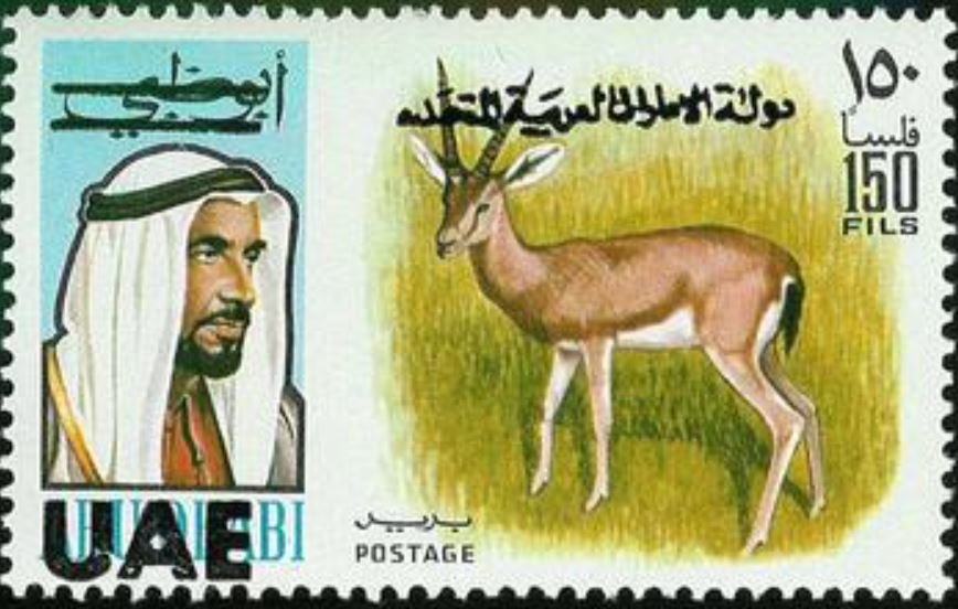 Gazelle (Gazella sp.)