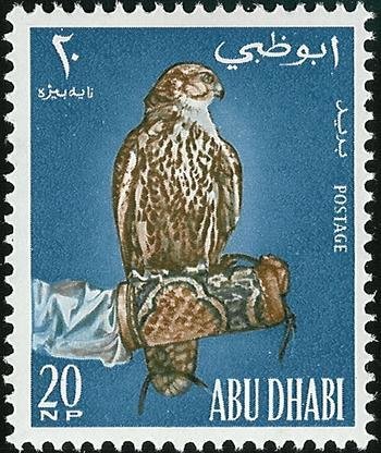 Lanner Falcon (Falco biarmicus)