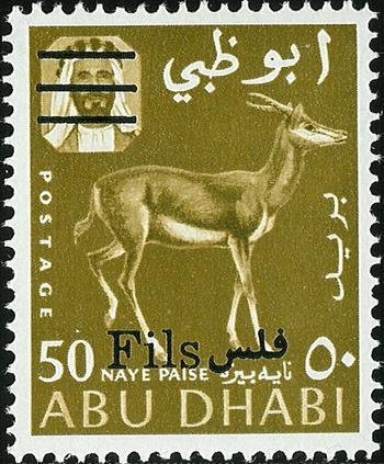 Mountain Gazelle (Gazella gazella)