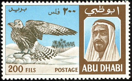 Lanner Falcon (Falco biarmicus)