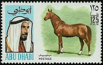 Horse (Equus ferus caballus)