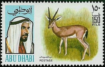 Gazelle (Gazella sp.)