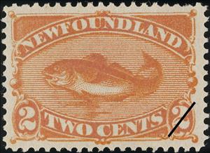 Stamp, Atlantic Cod (Gadus morrhua), Newfoundland,  , Animals (Fauna), Fishes
