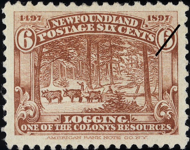 Logging