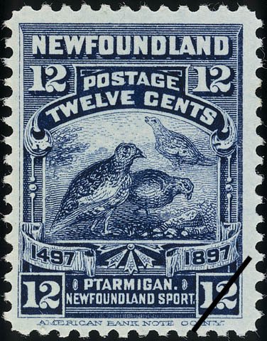 Willow Ptarmigan (Lagopus lagopus)