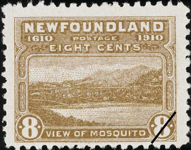 View of Mosquito