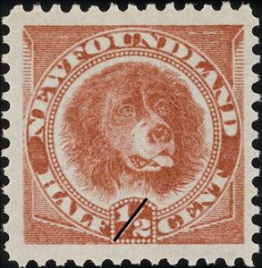 Stamp, Newfoundland Dog (Canis lupus familiaris), Newfoundland,  , Dogs