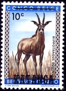 Roan Antelope (Hippotragus equinus)