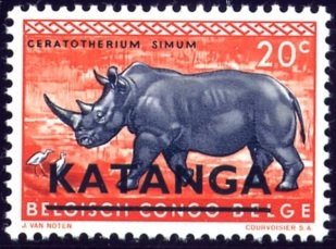 White Rhinoceros (Ceratotherium simum)
