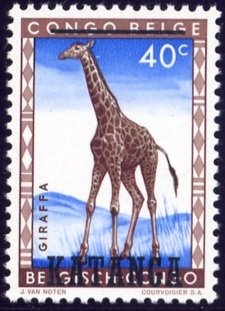 Giraffe (Giraffa camelopardalis)