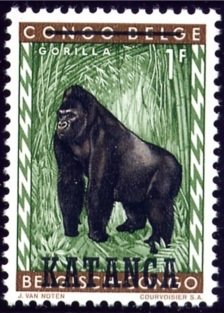 Lowland Gorilla (Gorilla gorilla)