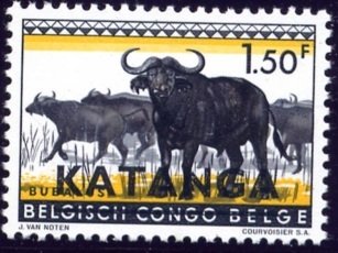 Stamp, African Buffalo (Syncerus caffer), Katanga,  , Mammals, Animals (Fauna), Buffaloes