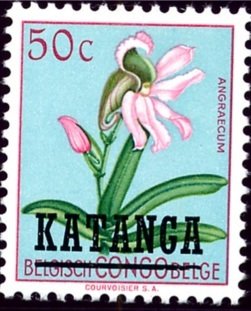 Eurychone galeandrae (syn.Angraecum galeandrae)