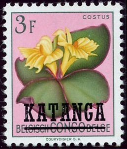 Belgian Congo BE C314 with overprint 'KATANGA'
