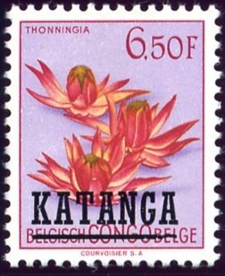 Belgian Congo BE C317 with overprint 'KATANGA'