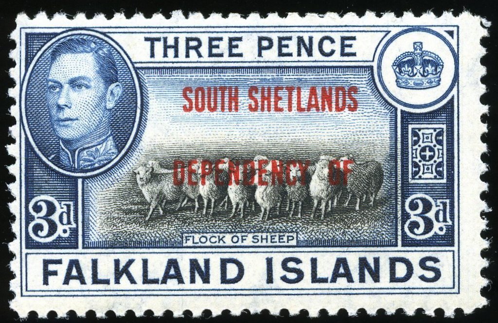 Domestic Sheep (Ovis ammon aries) - Overprinted in Red
