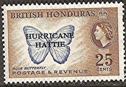 Common Morpho (Morpho peleides) - Overprinted