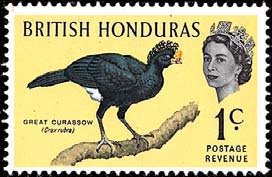 Stamp, Great Curassow (Crax rubra), British Honduras,  , Birds, Animals (Fauna)